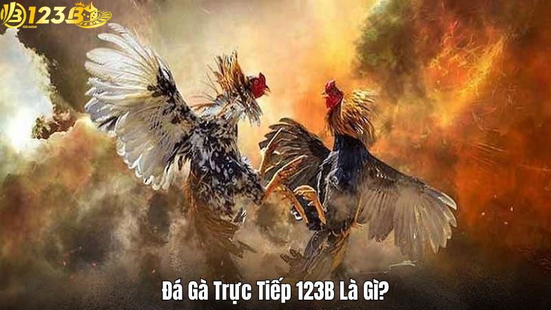 Đá Gà Trực Tiếp 123B Là Gì?