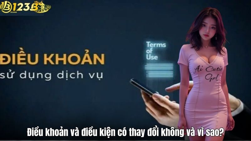 Điều khoản và điều kiện có thay đổi không và vì sao?